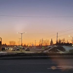 Meet your Posher, Dillon